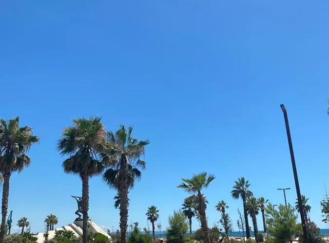 Hoara Holidays Apartment's *